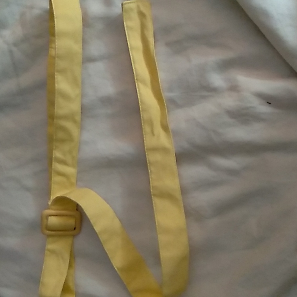 Vintage cloth belt